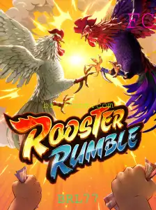 RoosterRumble: Um Mergulho no Universo Emocionante dos Combates de Galos
